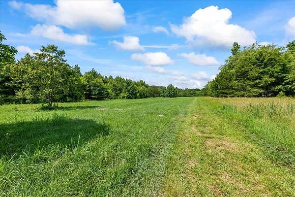 60.3 Acres of Recreational & Residential Land for Sale in Madison, Georgia