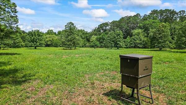 21.5 Acres of Recreational & Residential Land for Sale in Madison, Georgia