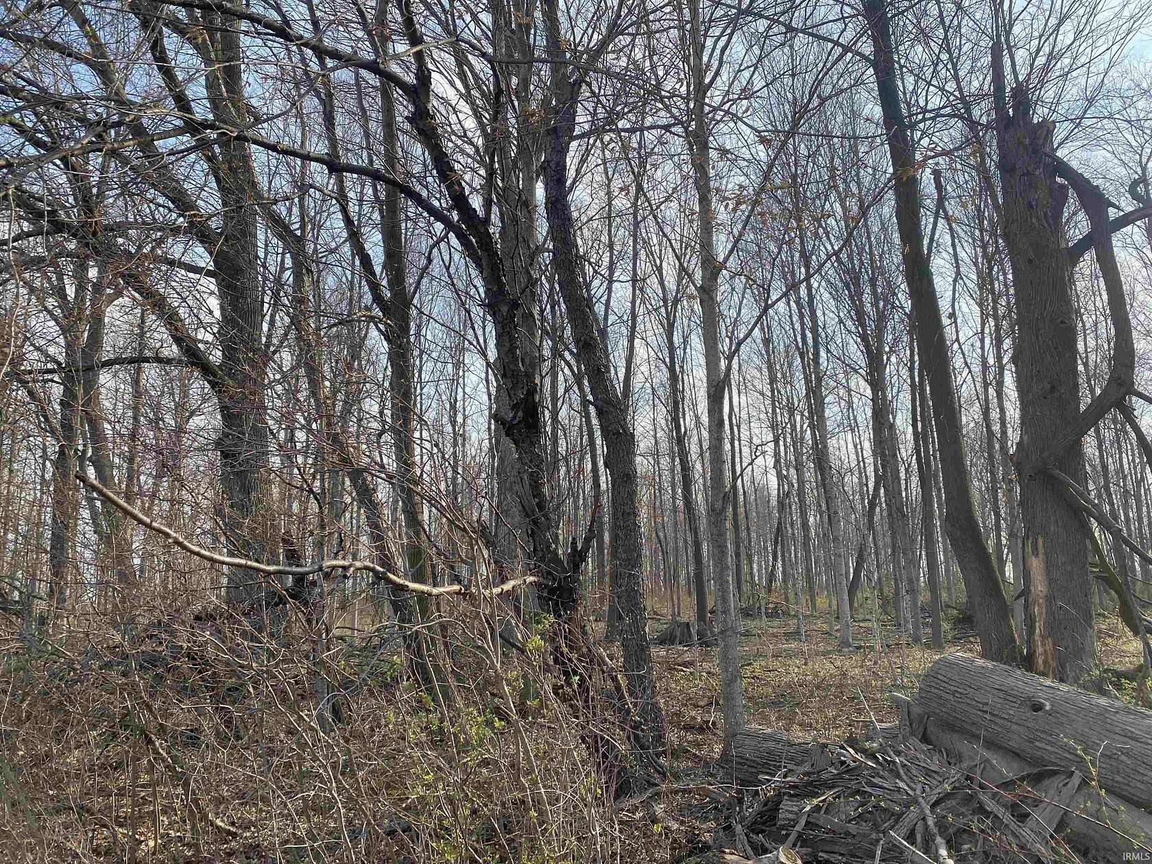 20 Acres of Recreational Land for Sale in Warren, Indiana