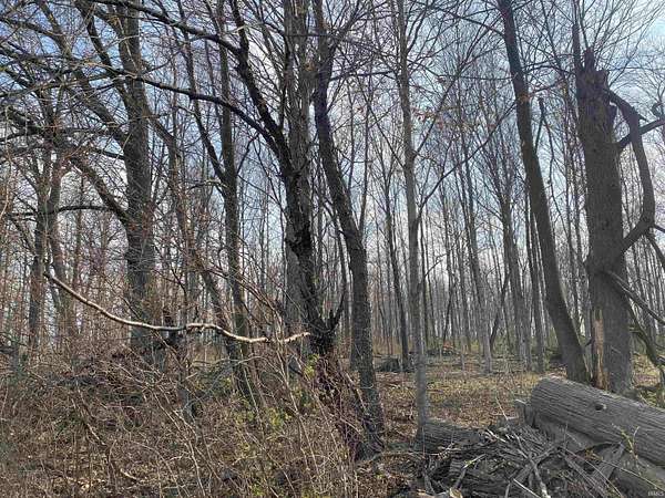 20 Acres of Recreational Land for Sale in Warren, Indiana