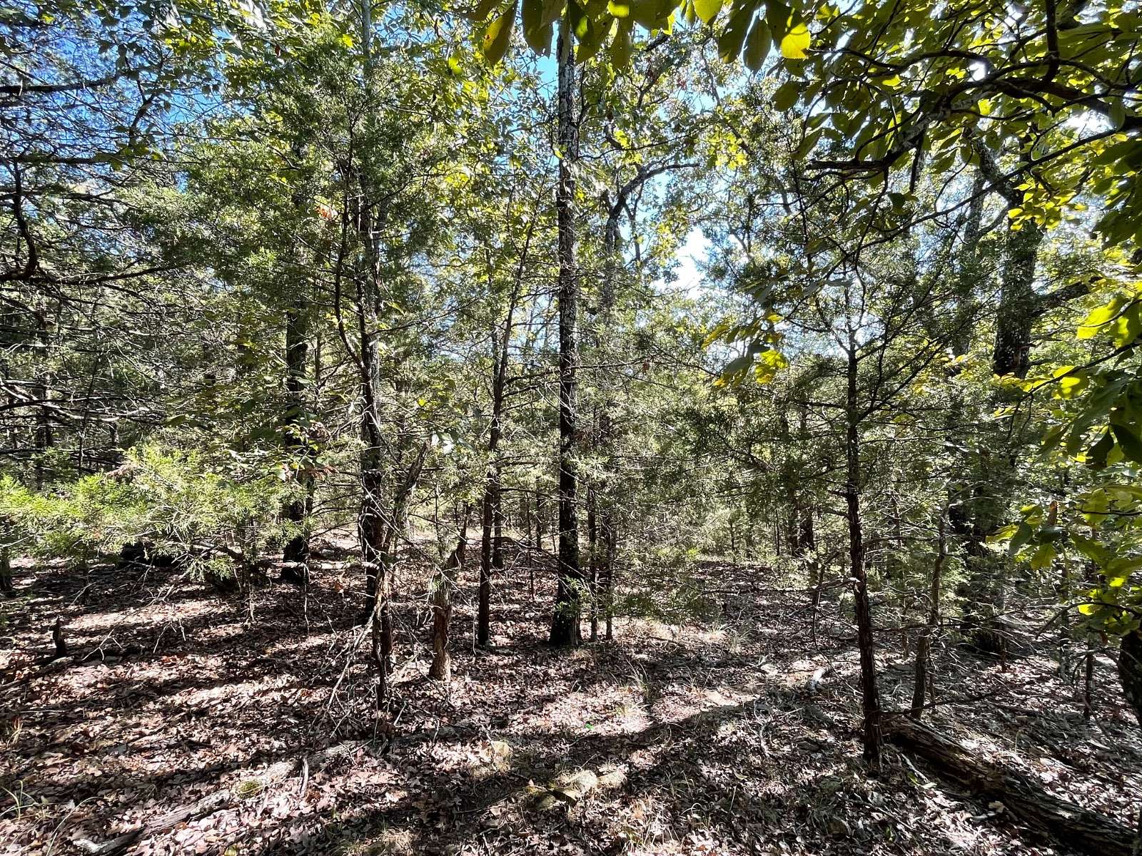 37.7 Acres of Recreational & Residential Land for Sale in McAlester, Oklahoma