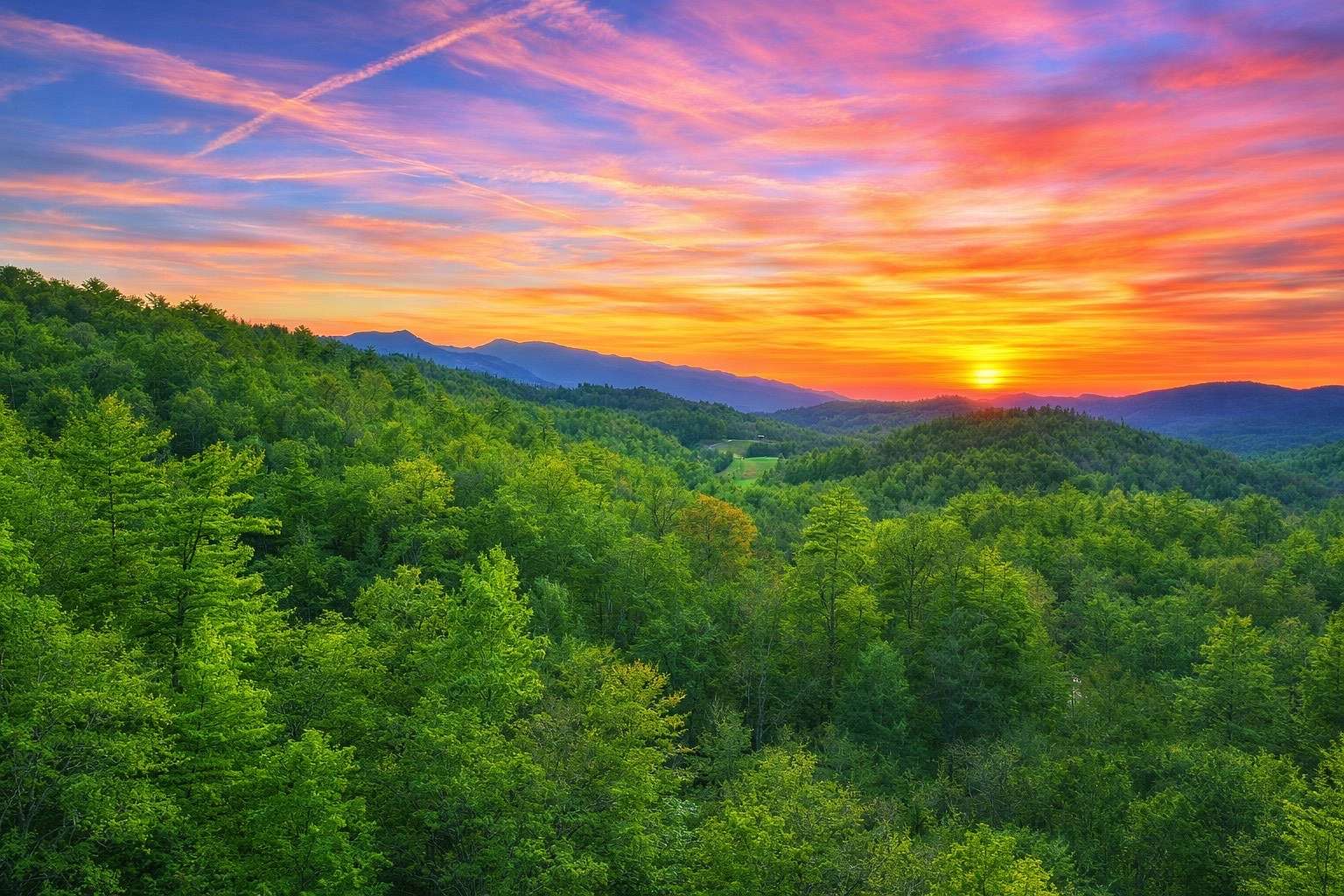 11.7 Acres of Recreational & Residential Land for Sale in Del Rio, Tennessee