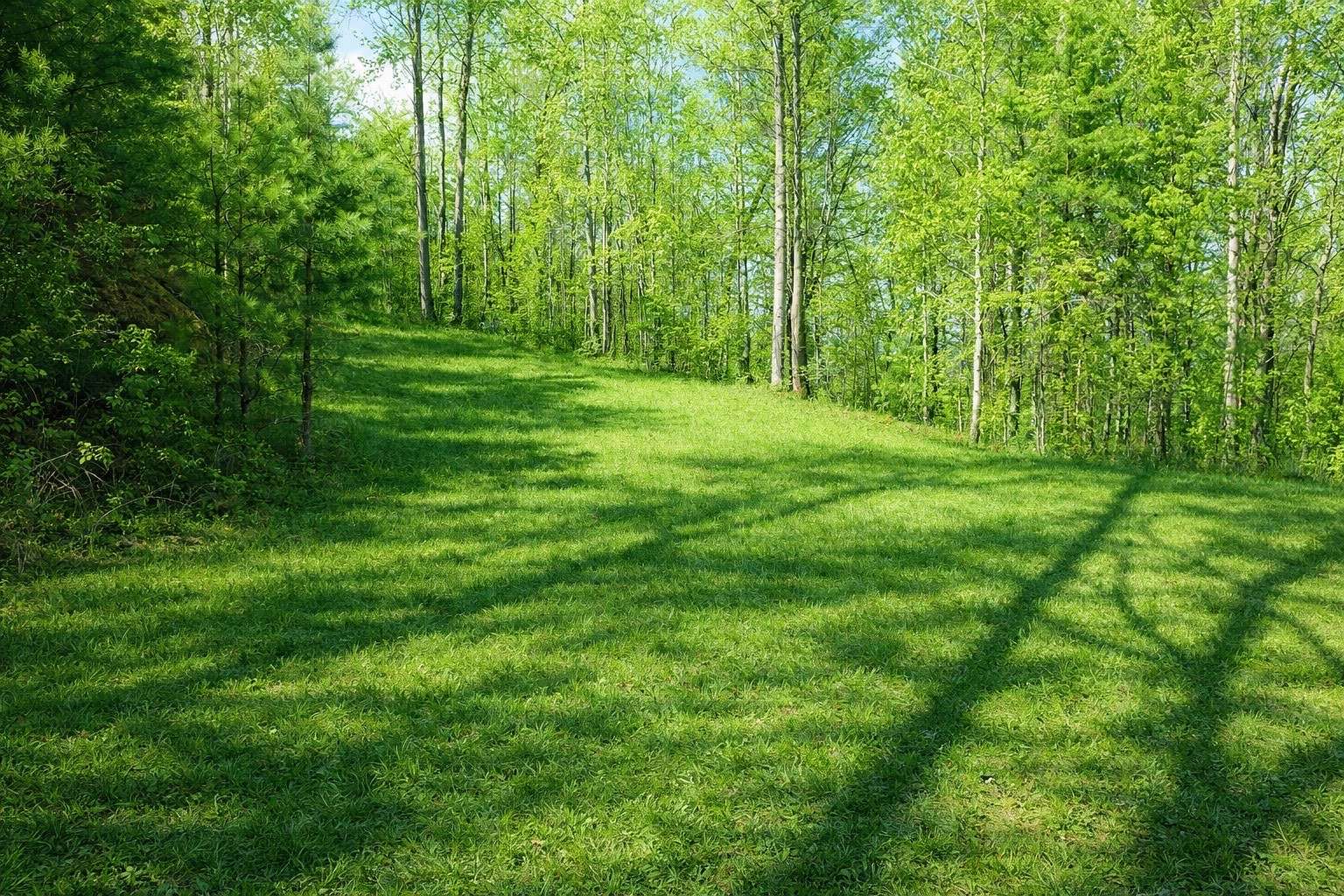 11.7 Acres of Recreational & Residential Land for Sale in Del Rio, Tennessee