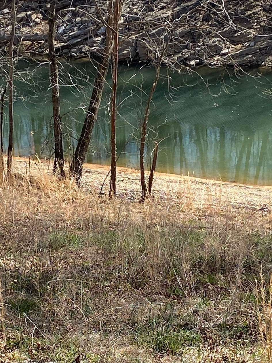 0.55 Acres of Residential Land for Sale in Speedwell, Tennessee