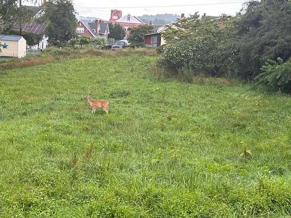 0.35 Acres of Residential Land for Sale in Galax, Virginia