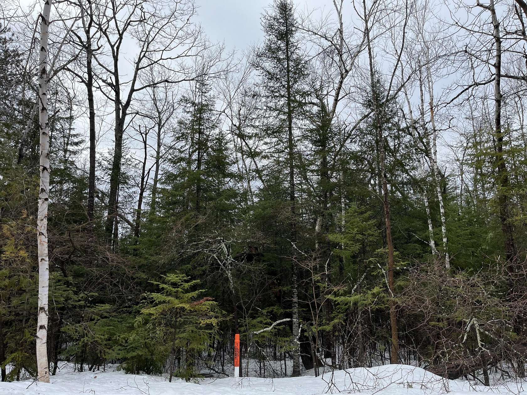 0.7 Acres of Residential Land for Sale in Presque Isle, Michigan