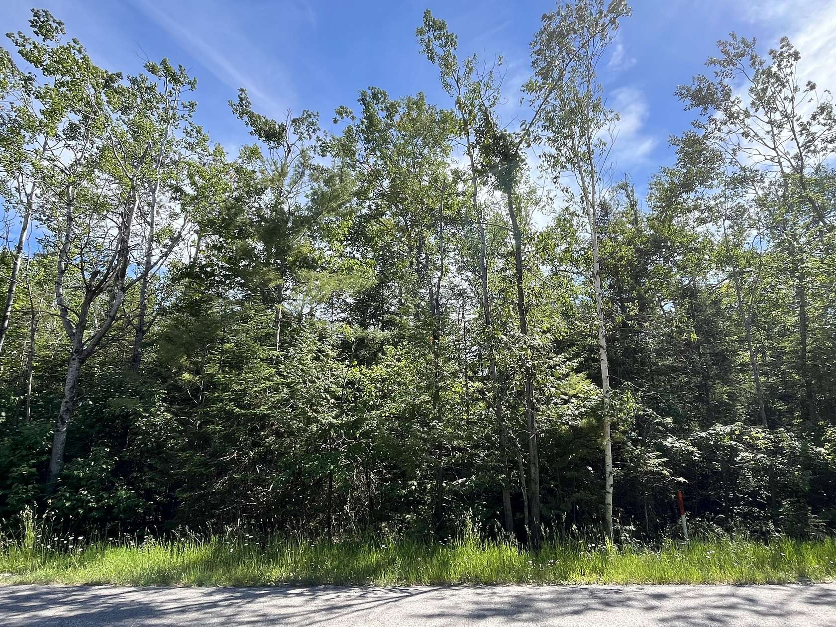 0.7 Acres of Residential Land for Sale in Presque Isle, Michigan