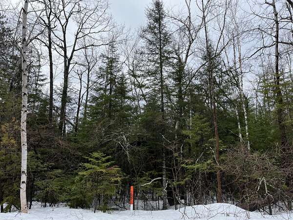 0.7 Acres of Residential Land for Sale in Presque Isle, Michigan