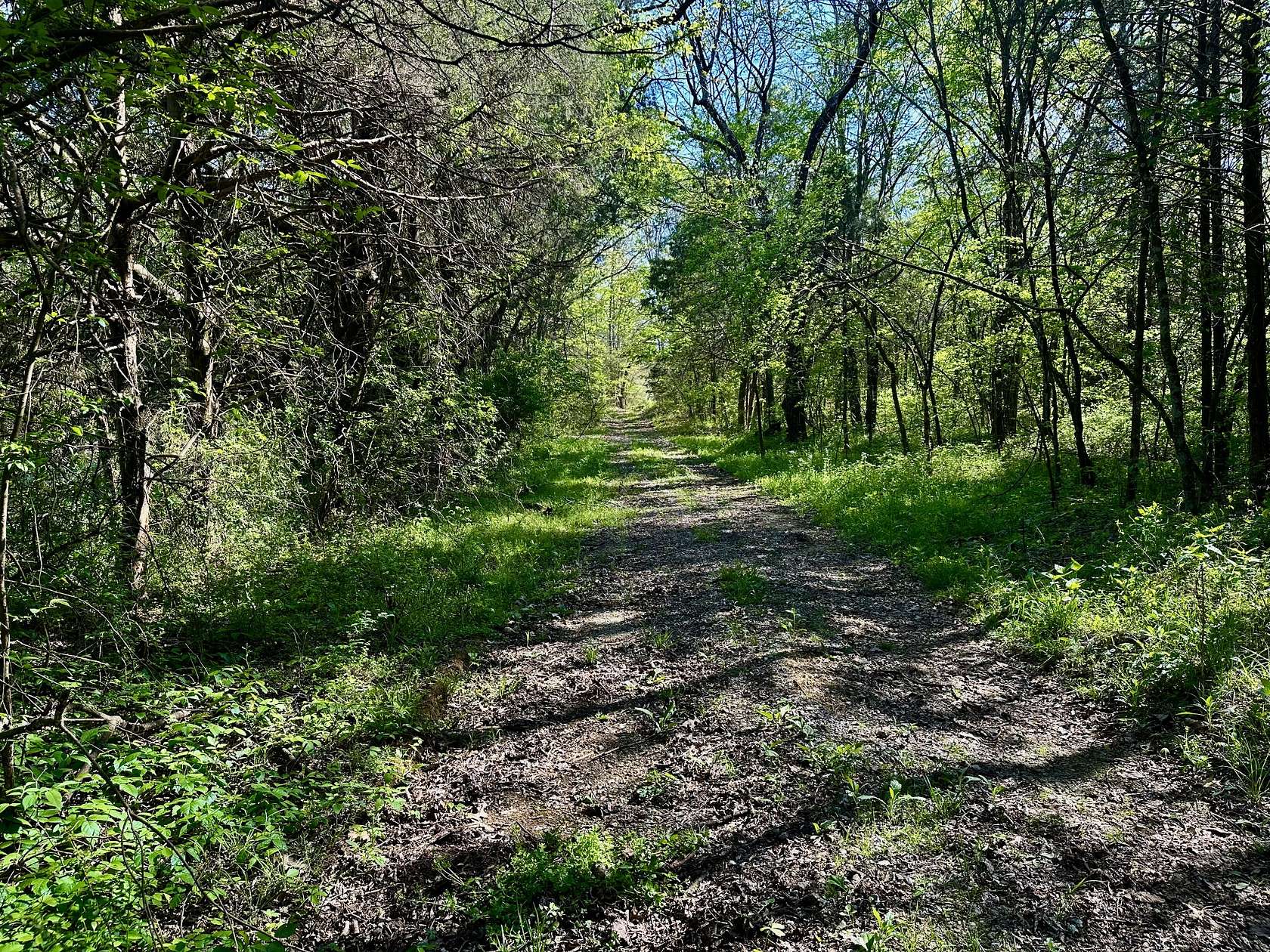 3.29 Acres of Residential Land for Sale in Chapel Hill, Tennessee