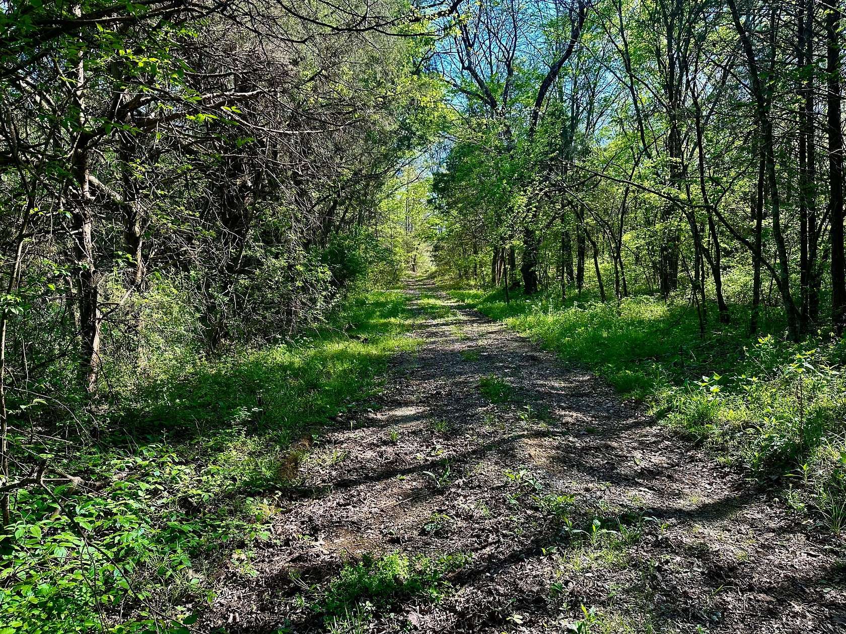 3.29 Acres of Land for Sale in Chapel Hill, Tennessee