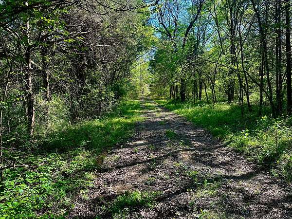 3.29 Acres of Land for Sale in Chapel Hill, Tennessee