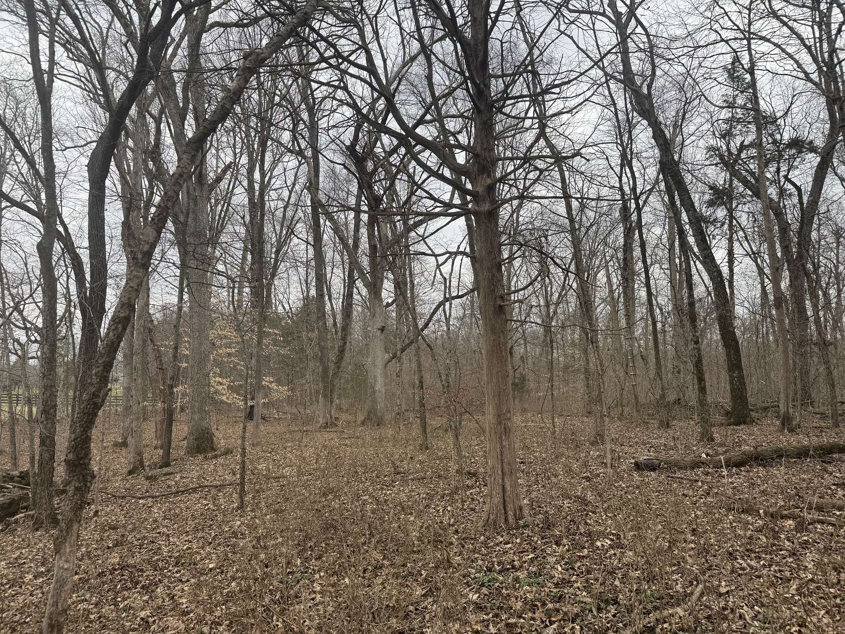 1.5 Acres of Residential Land for Sale in Shelbyville, Tennessee