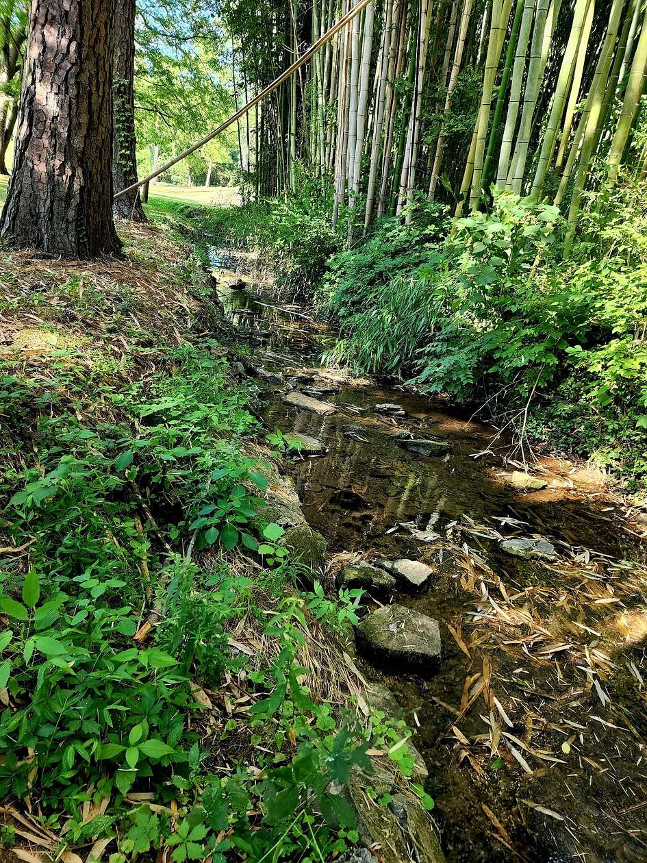 3.87 Acres of Residential Land for Sale in Nashville, Tennessee