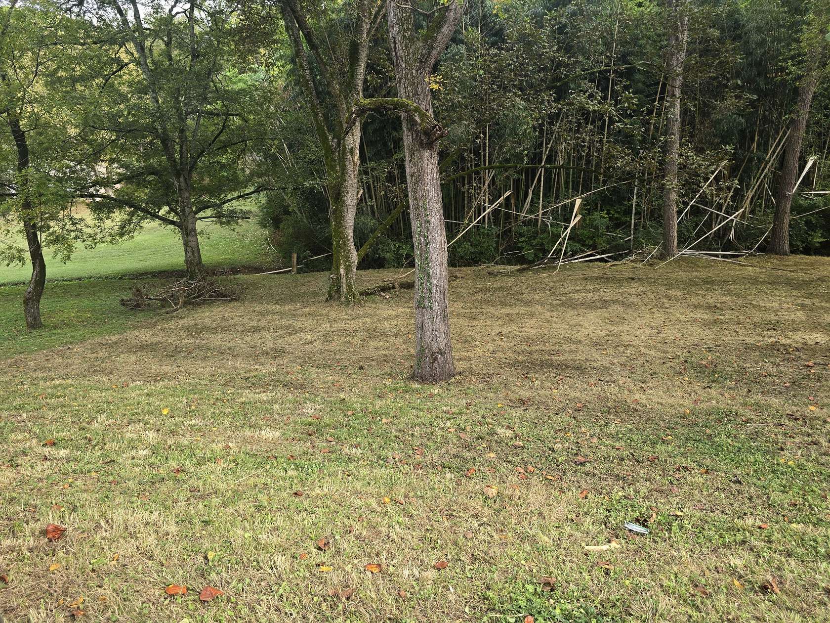 3.87 Acres of Residential Land for Sale in Nashville, Tennessee