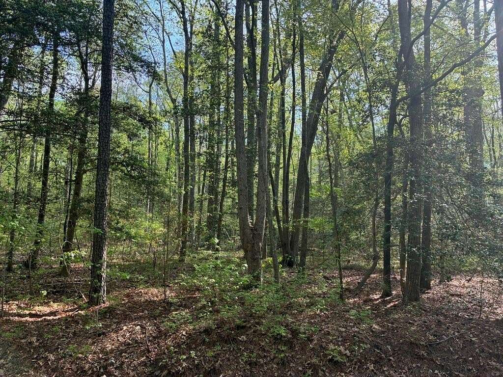 0.61 Acres of Residential Land for Sale in Heathsville, Virginia