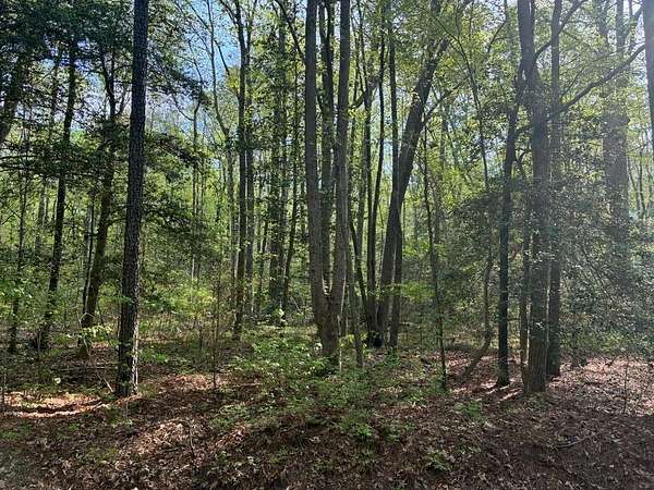 0.61 Acres of Residential Land for Sale in Heathsville, Virginia