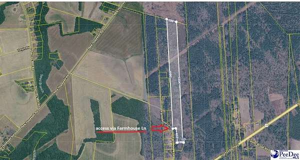 20.2 Acres of Land for Sale in Hartsville, South Carolina