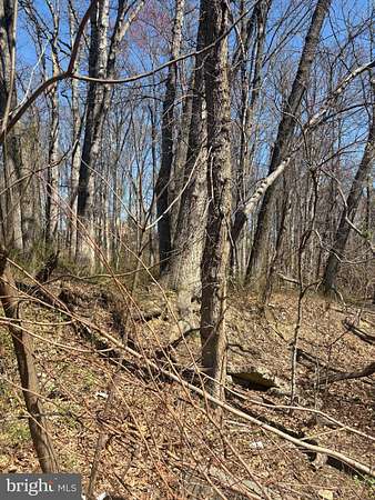 0.03 Acres of Residential Land for Sale in Washington, District of Columbia