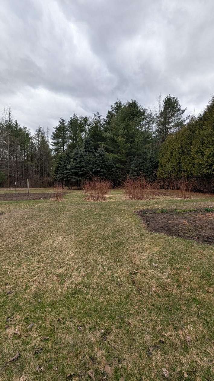 4 Acres of Residential Land for Sale in Plattsburgh, New York