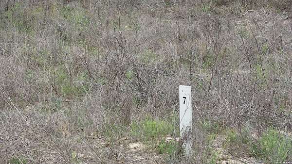 0.38 Acres of Residential Land for Sale in Elmendorf, Texas