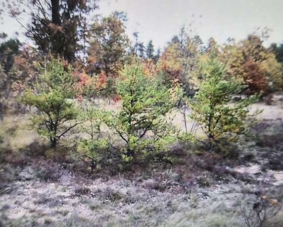 0.05 Acres of Residential Land for Sale in Grayling, Michigan