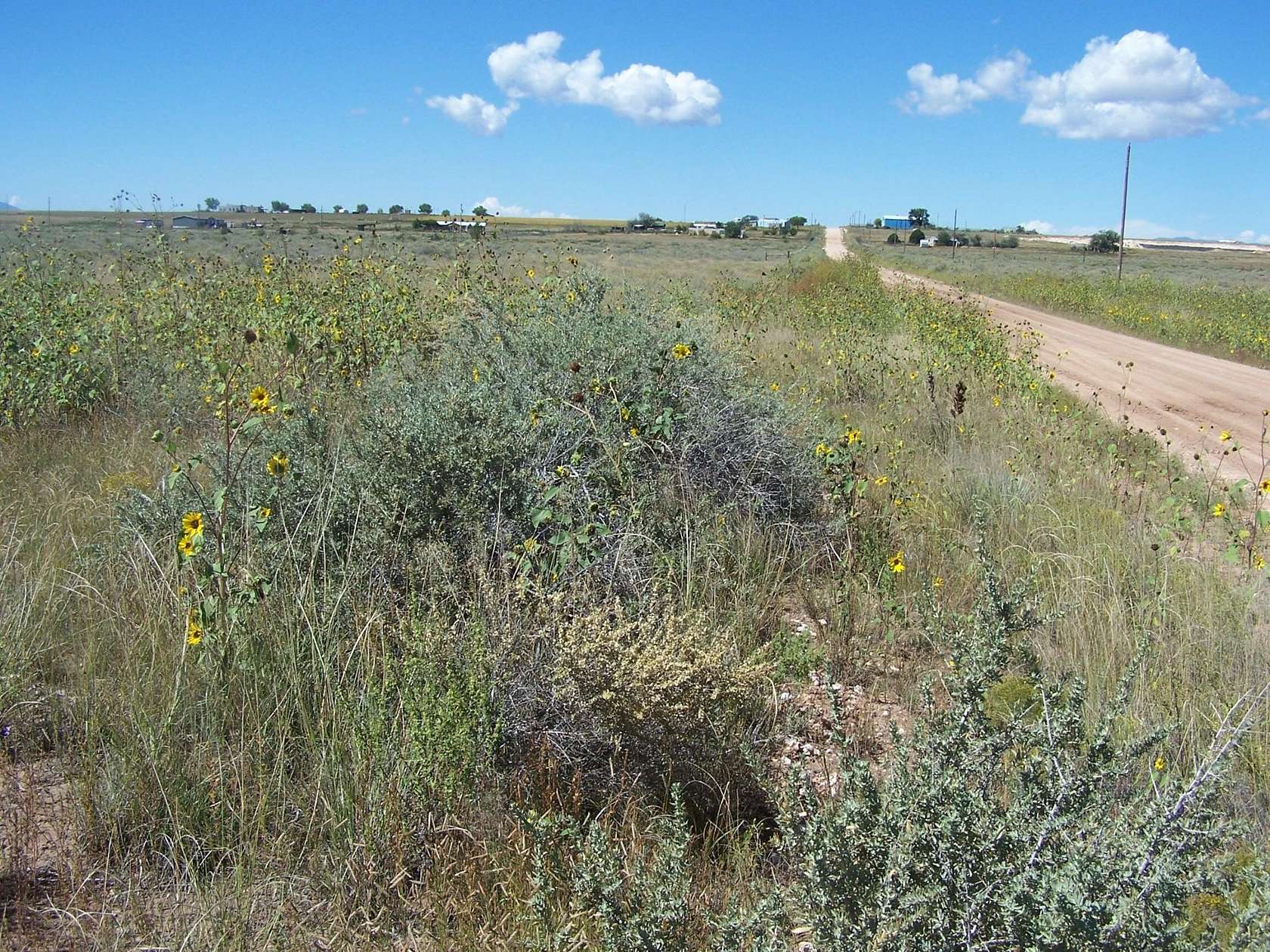 4.44 Acres of Land for Sale in Moriarty, New Mexico