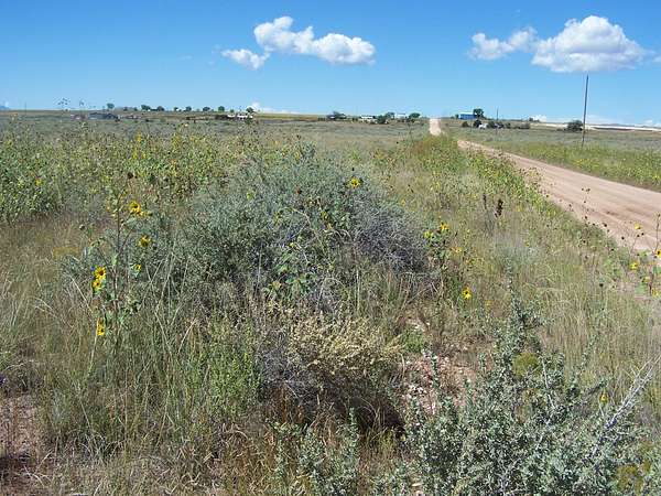 4.44 Acres of Land for Sale in Moriarty, New Mexico