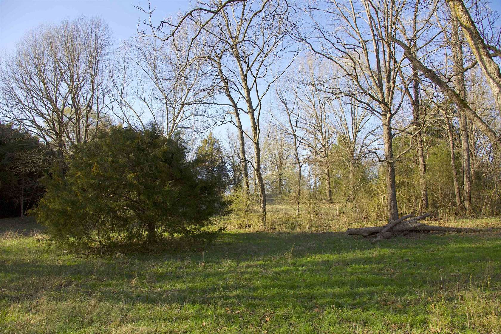 11.5 Acres of Land for Sale in Somerville, Tennessee