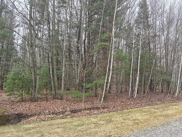 2 Acres of Residential Land for Sale in Lexington, Michigan