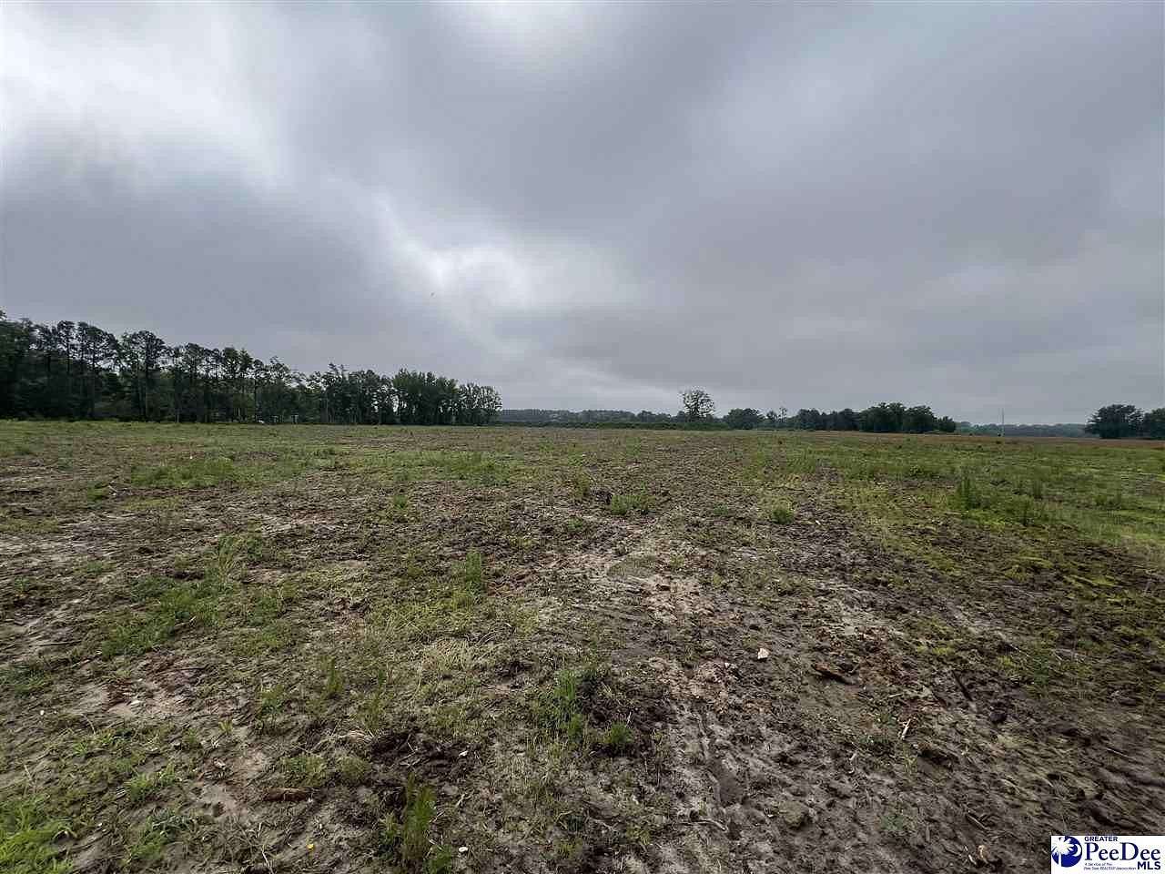 35.4 Acres of Mixed-Use Land for Sale in Darlington, South Carolina