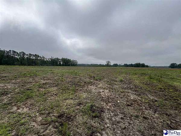 35.4 Acres of Mixed-Use Land for Sale in Darlington, South Carolina