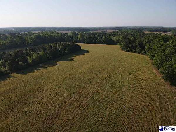 34.3 Acres of Land for Sale in Dillon, South Carolina