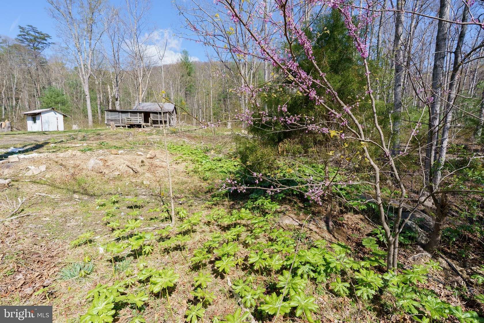 39.3 Acres of Recreational Land for Sale in Edinburg, Virginia