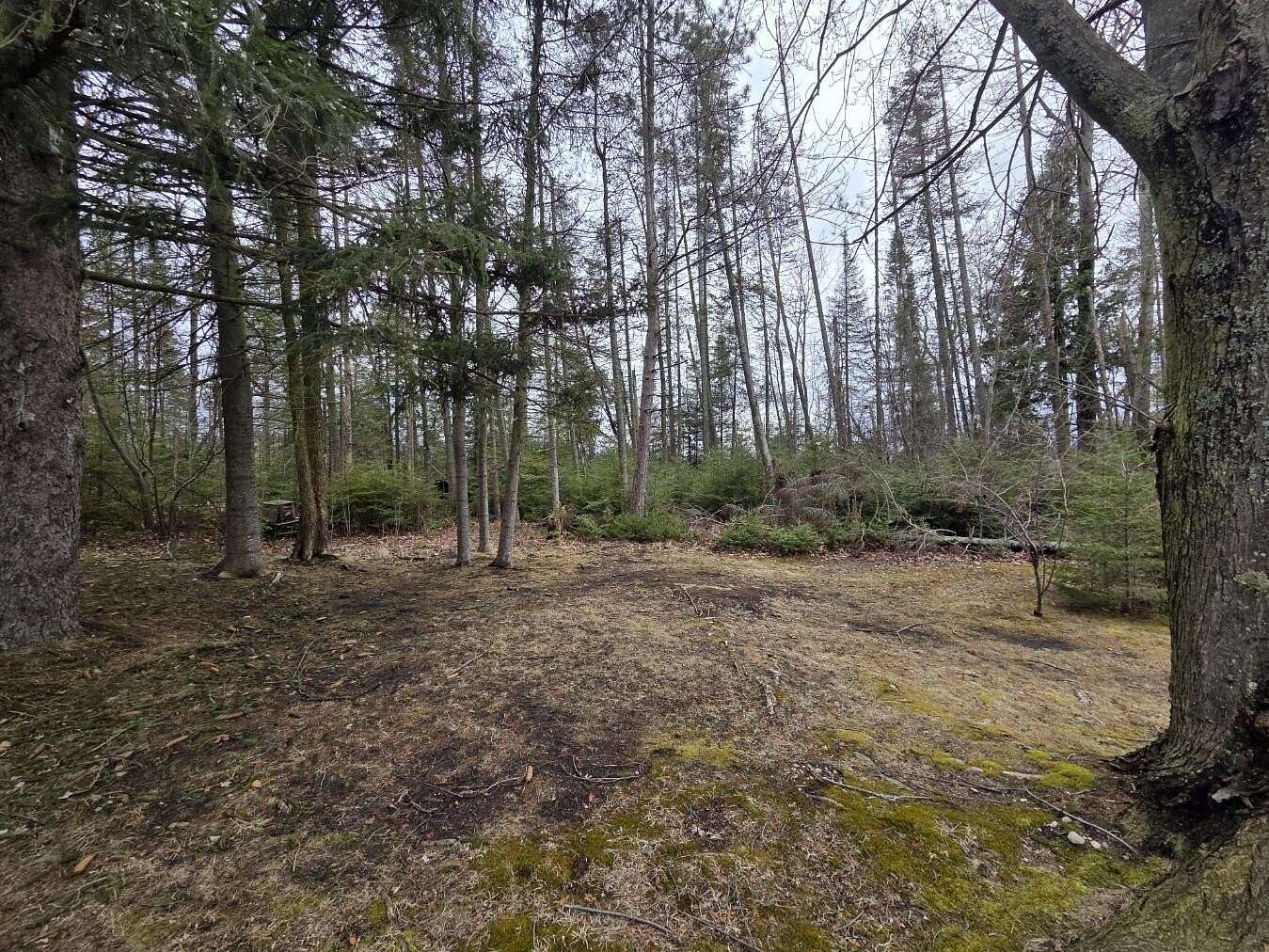 1.3 Acres of Residential Land for Sale in Prudenville, Michigan