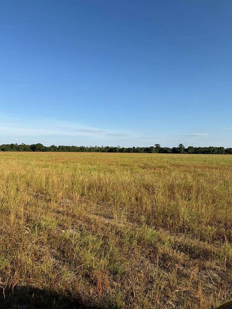 134 Acres of Recreational & Residential Land for Sale in Alapaha, Georgia