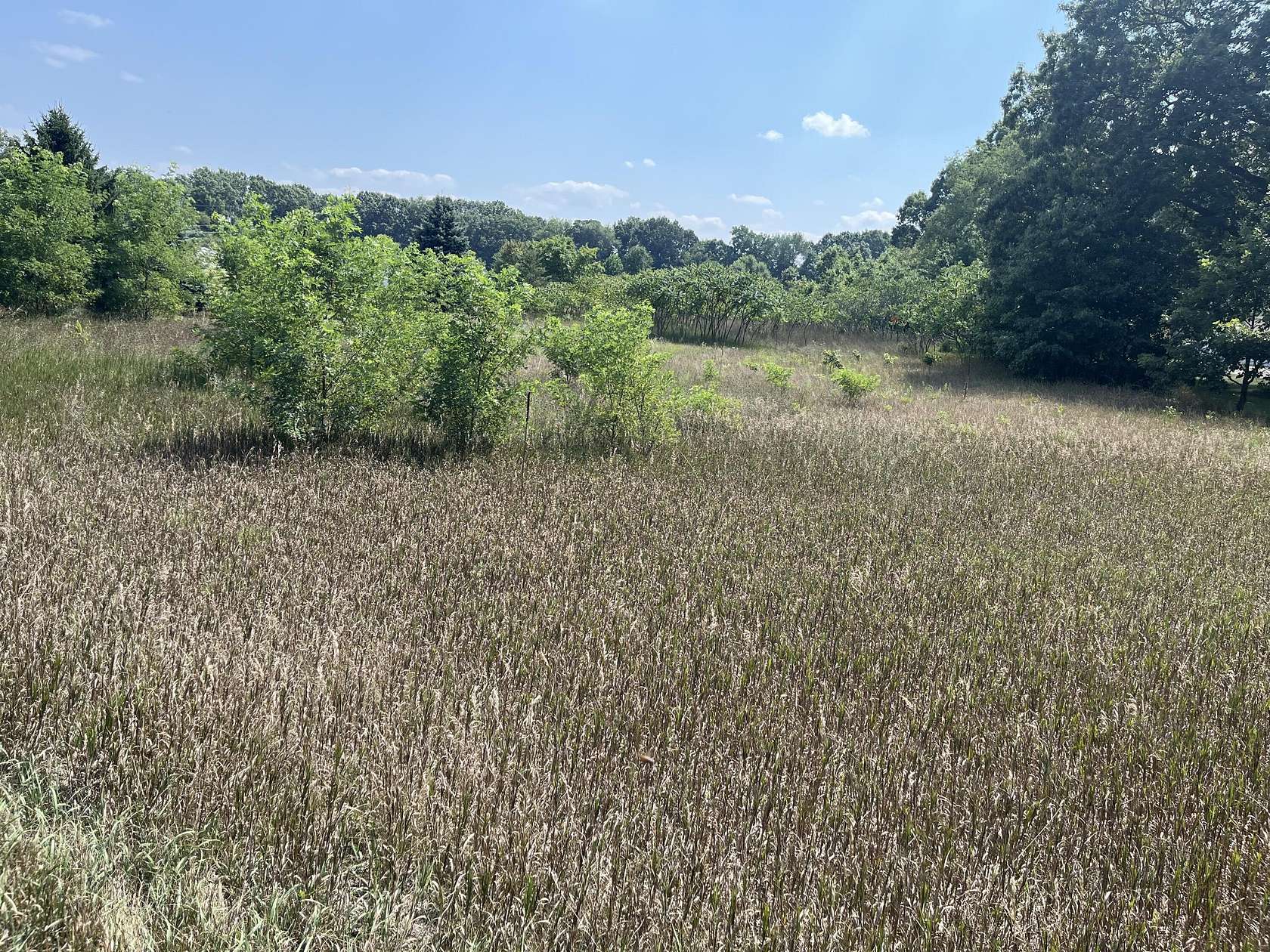 3 Acres of Land for Sale in Allegan, Michigan