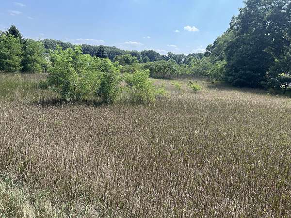 3 Acres of Land for Sale in Allegan, Michigan