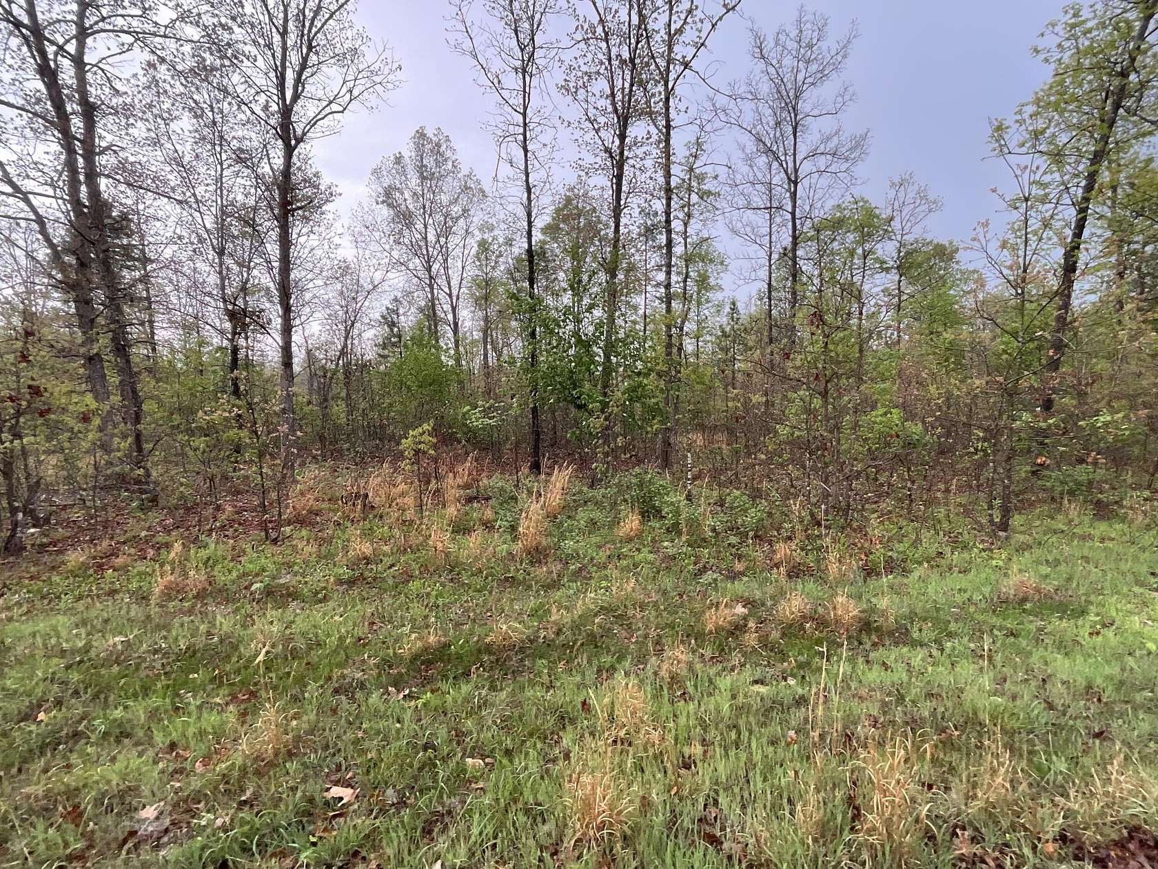 3.32 Acres of Land for Sale in Winona, Missouri