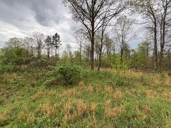 3.32 Acres of Land for Sale in Winona, Missouri