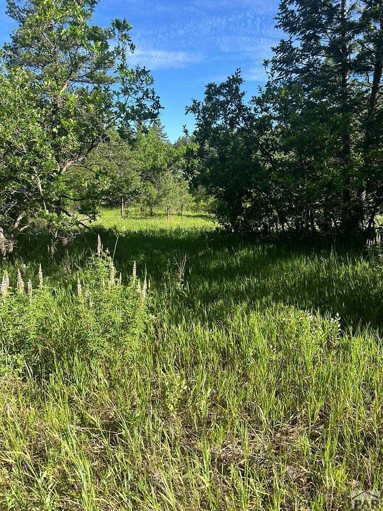 97.8 Acres of Recreational & Residential Land for Sale in Beulah, Colorado