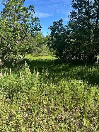 97.8 Acres of Recreational & Residential Land for Sale in Beulah, Colorado
