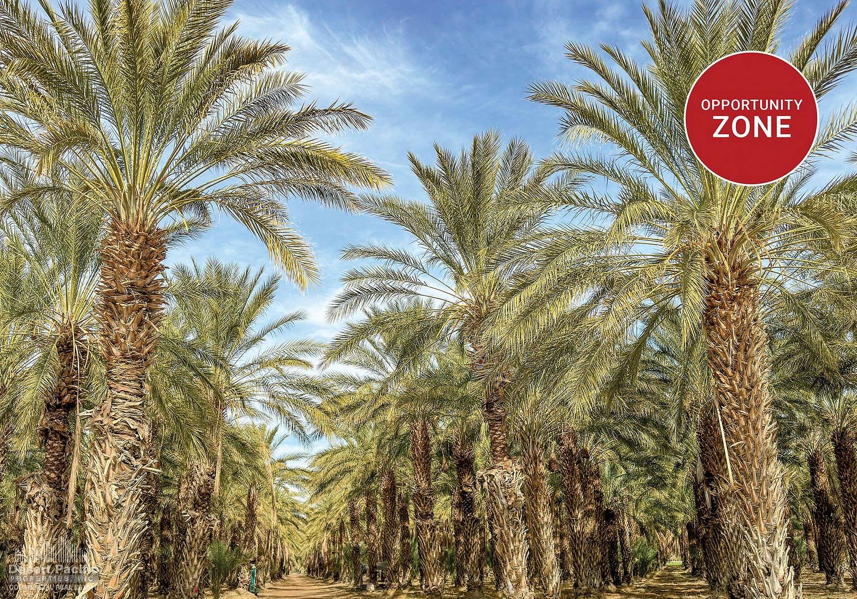 75 Acres of Land for Sale in Thermal, California