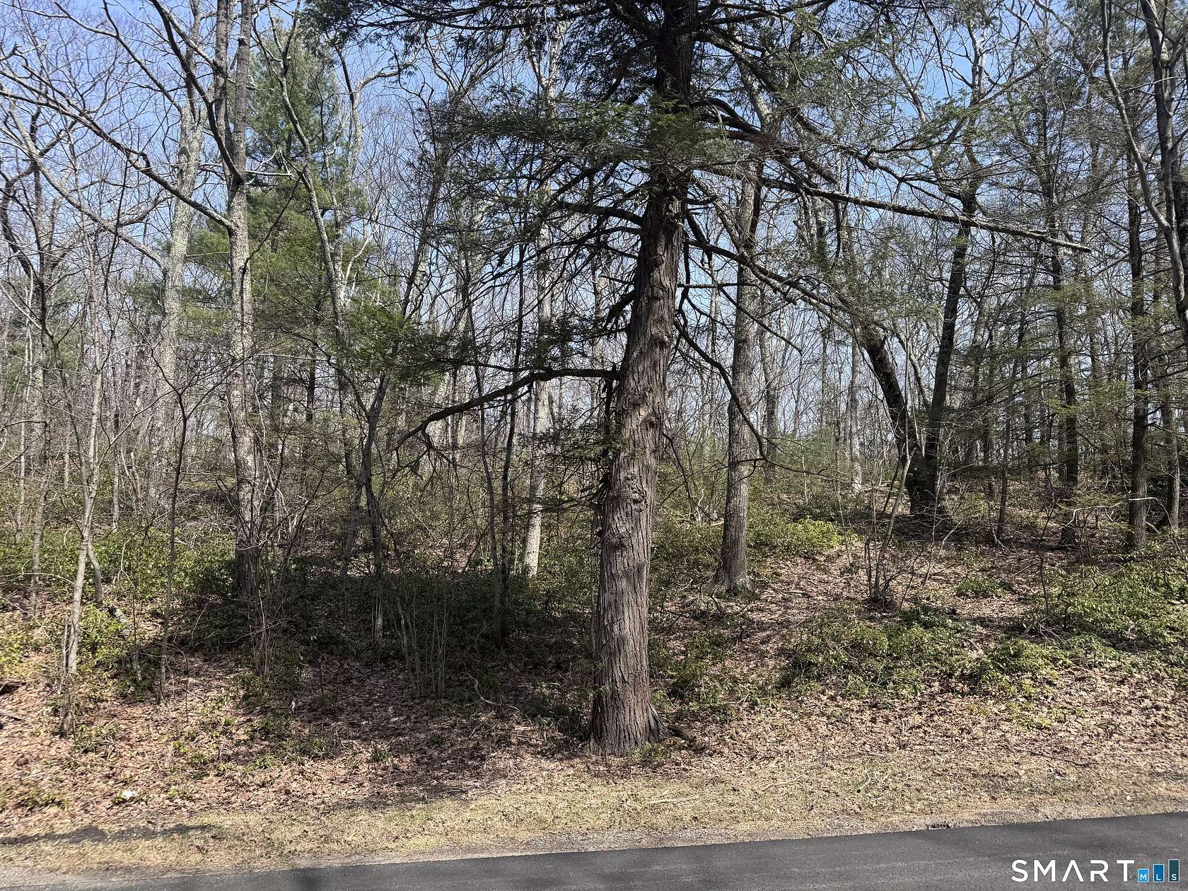 2.69 Acres of Residential Land for Sale in Warren, Connecticut