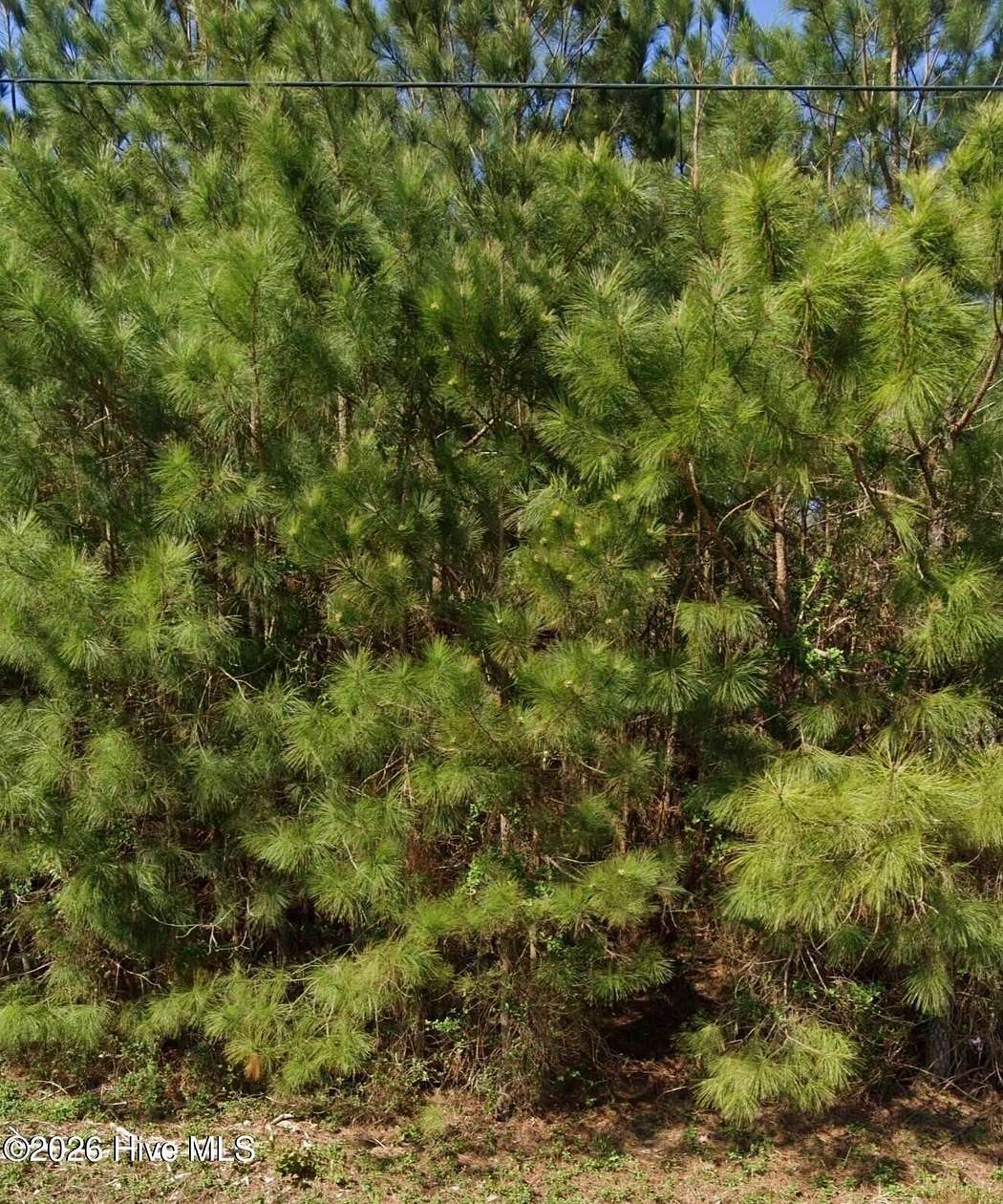 0.97 Acres of Residential Land for Sale in Edenton, North Carolina