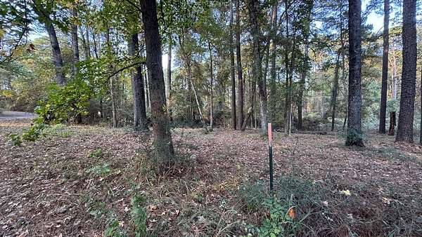 0.26 Acres of Residential Land for Sale in Hemphill, Texas