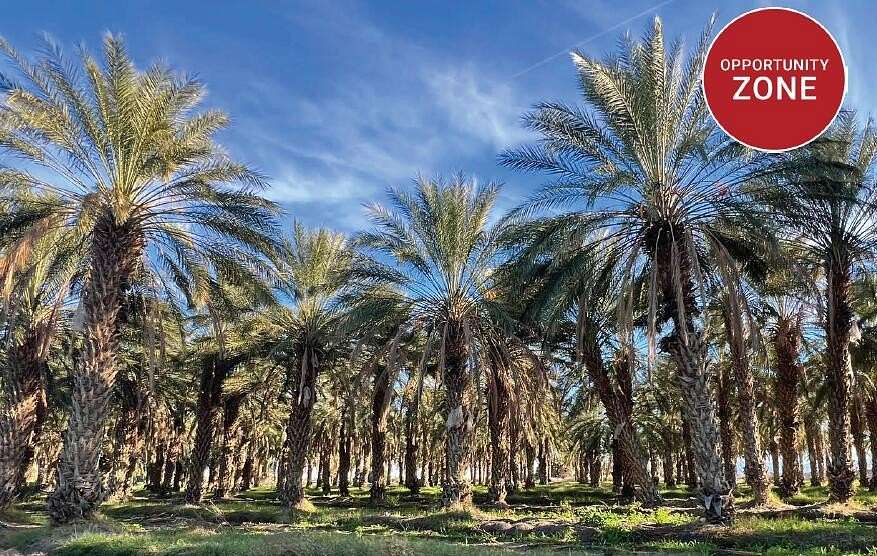 48.6 Acres of Land for Sale in Thermal, California