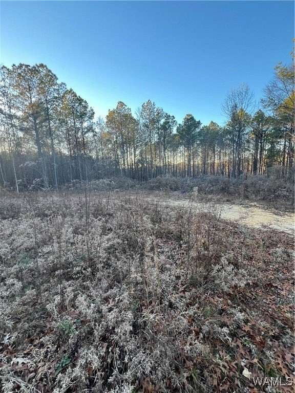 10 Acres of Land for Sale in Northport, Alabama
