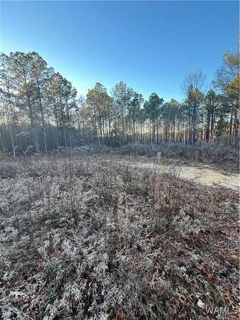 10 Acres of Land for Sale in Northport, Alabama