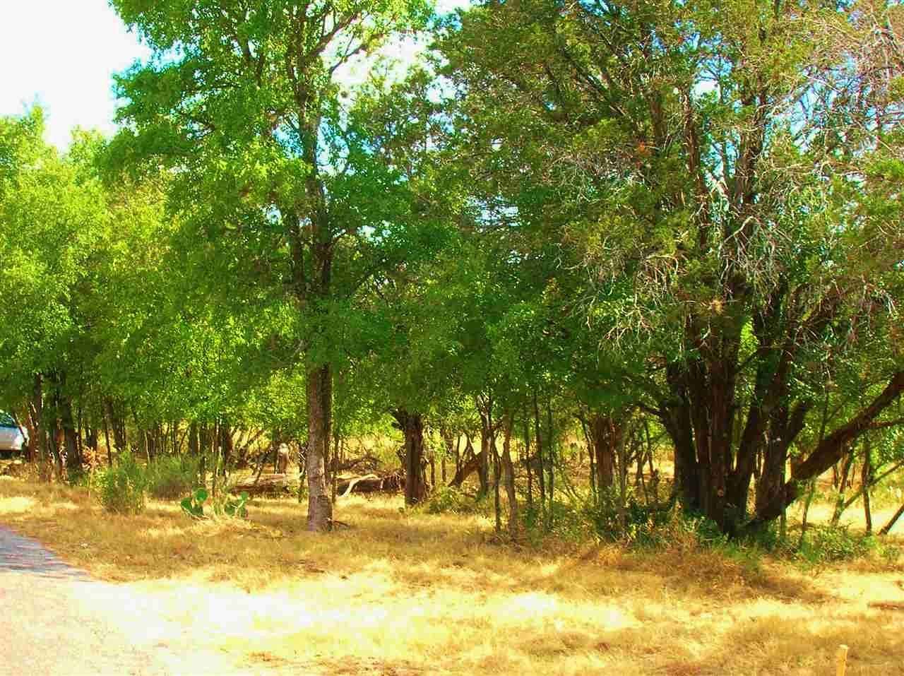 0.92 Acres of Residential Land for Sale in Cottonwood Shores, Texas
