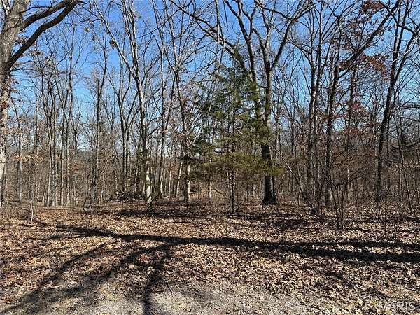 1 Acre of Residential Land for Sale in Stoutsville, Missouri